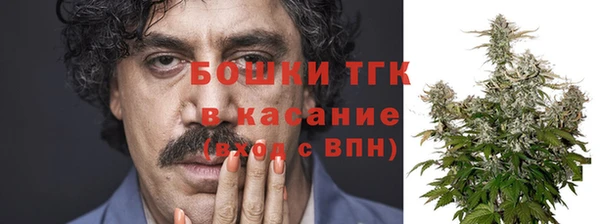 прущие грибы Инта
