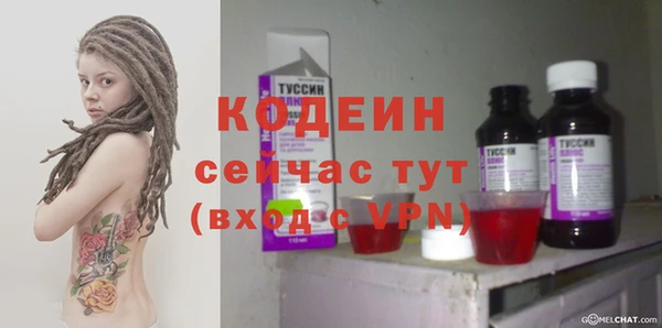 прущие грибы Инта
