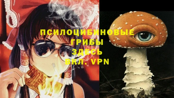 круглые Иннополис