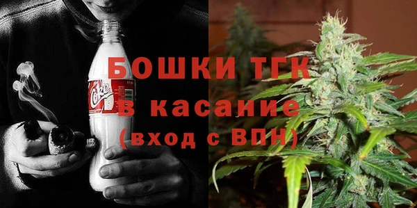 гидра Зеленокумск