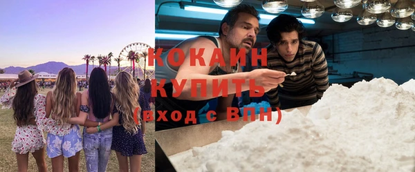 прущие грибы Инта