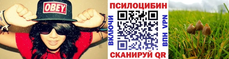 Псилоцибиновые грибы мицелий  Артём 